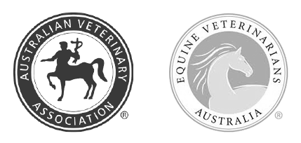 Equine Veterinarians Australia